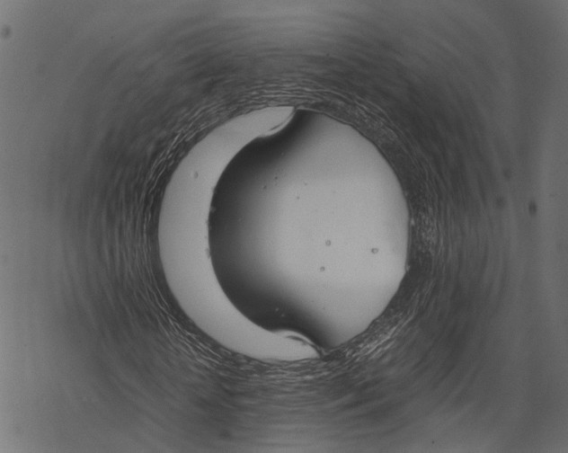 X0000067930818200605041732