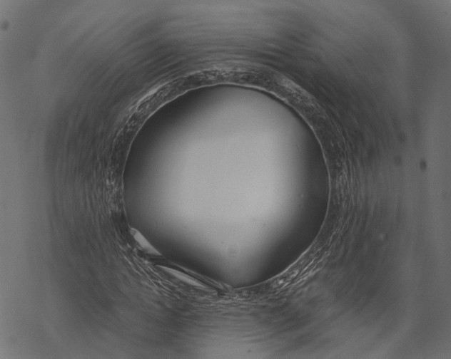X0000067930822200605041732