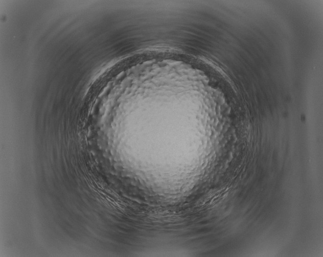 X0000067930823200605041732