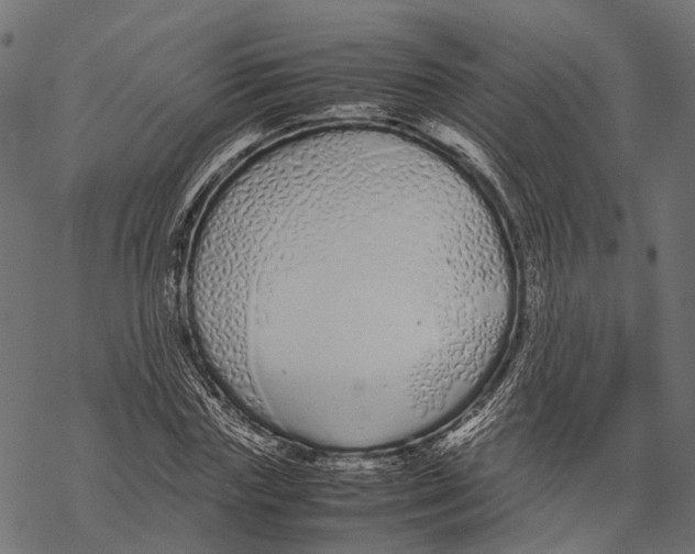 X0000067930827200605041732