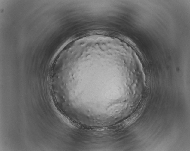 X0000067930859200605041733