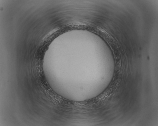 X0000067930870200605041732