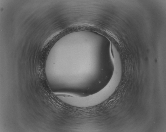 X0000067930872200605041732