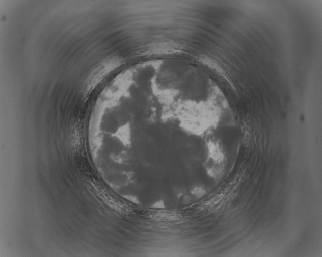 X0000067930874200605041732