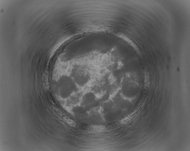 X0000067930878200605041732