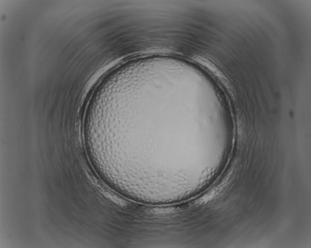 X0000067930933200605041731