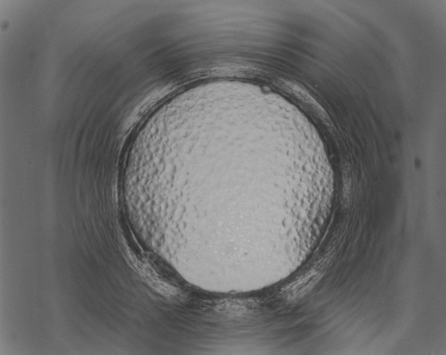 X0000067930938200605041731