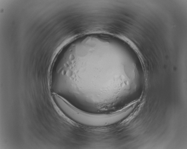X0000067930957200605041731