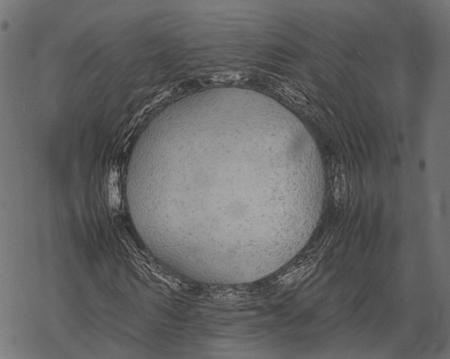 X0000067930962200605041731