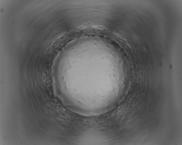 X0000067930966200605041730
