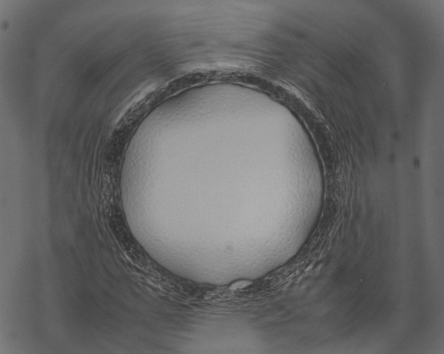 X0000067930967200605041730
