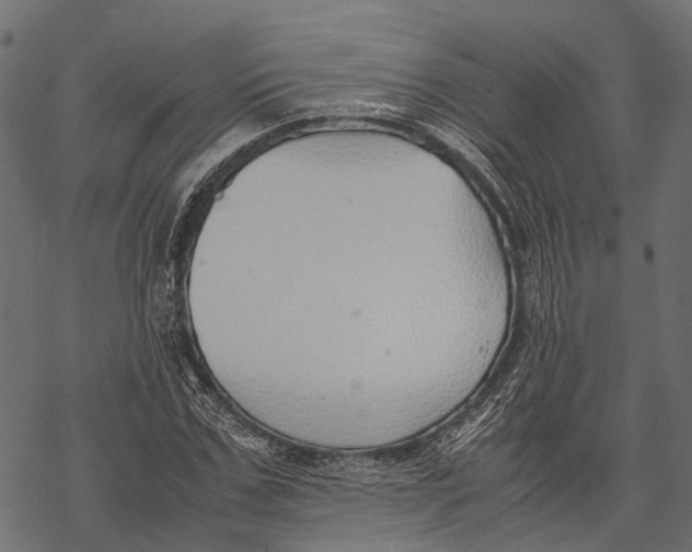 X0000067930971200605041730