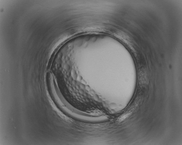 X0000067930991200605041730