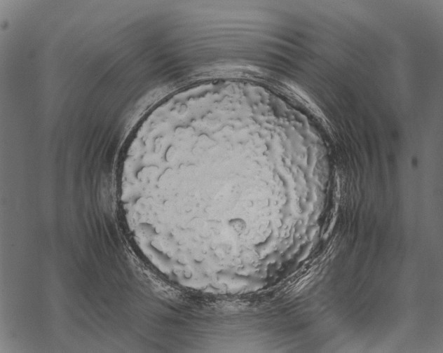 X0000067930994200605041730