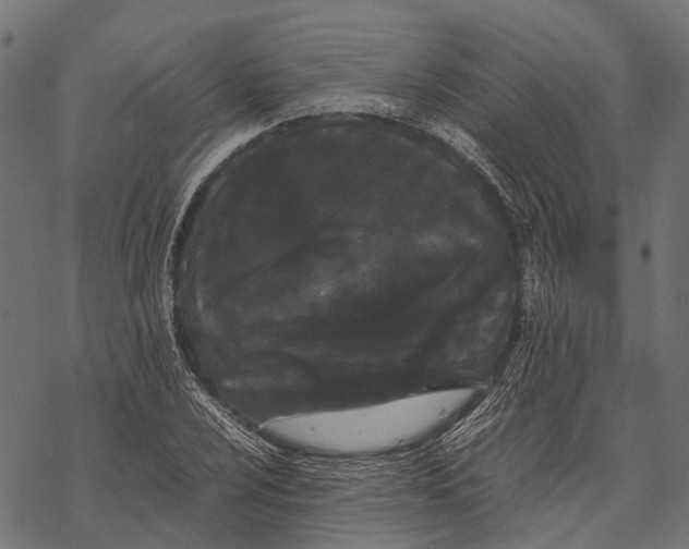 X0000067931024200605041729