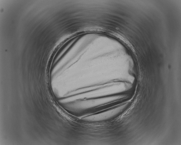X0000067931037200605041729