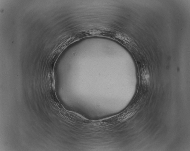 X0000067931060200605041729