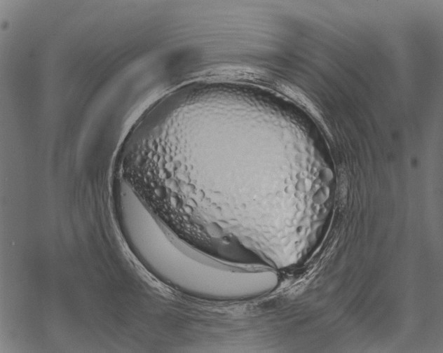 X0000067931091200605041728