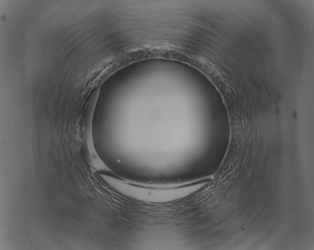X0000067931110200605041728