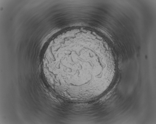 X0000067931117200605041728