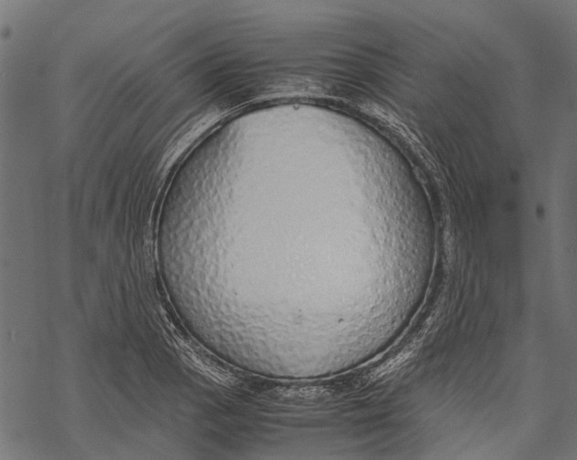 X0000067931129200605041728