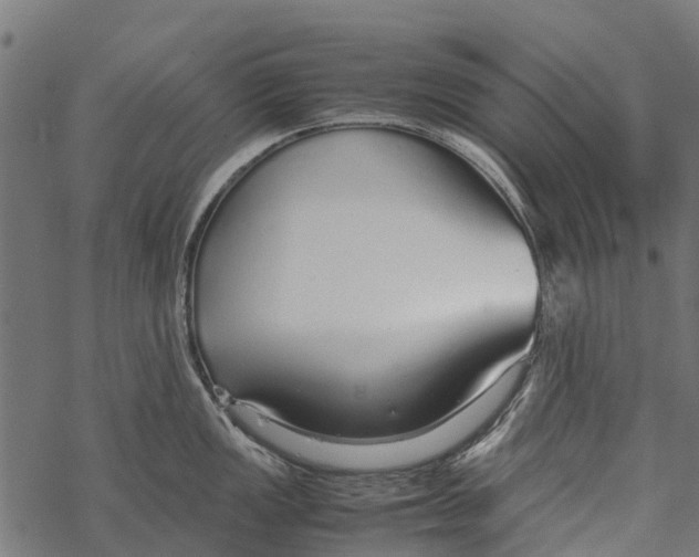 X0000067931149200605041728