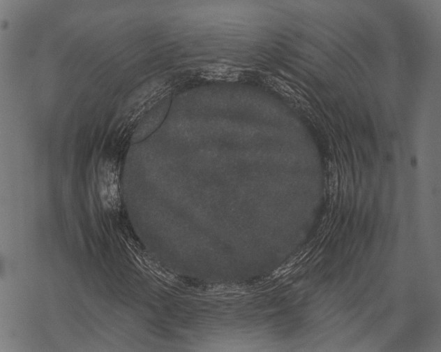 X0000067931154200605041727