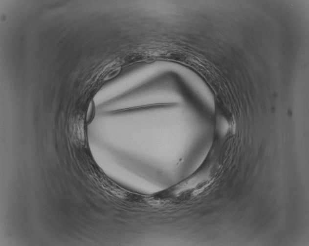 X0000067931155200605041727