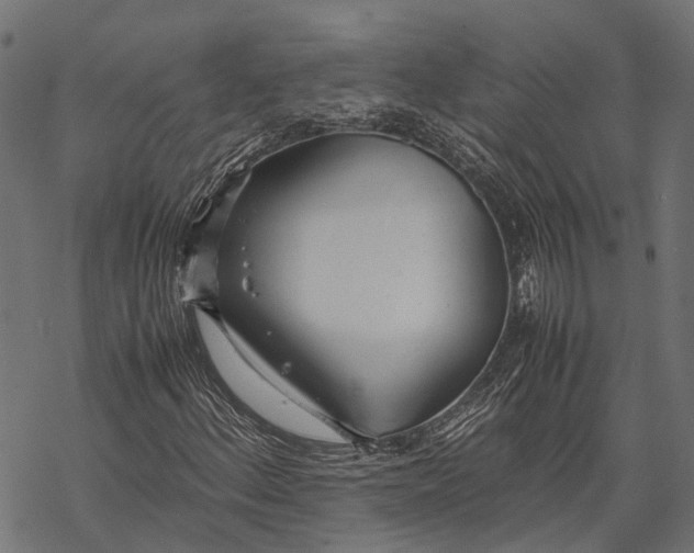 X0000067931156200605041727