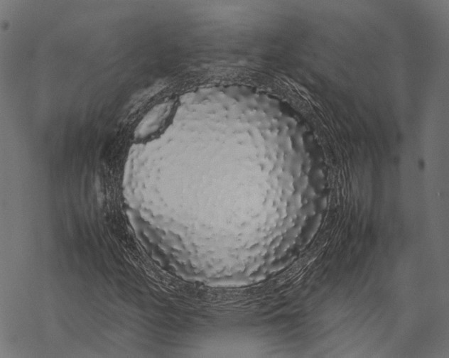X0000067931158200605041727