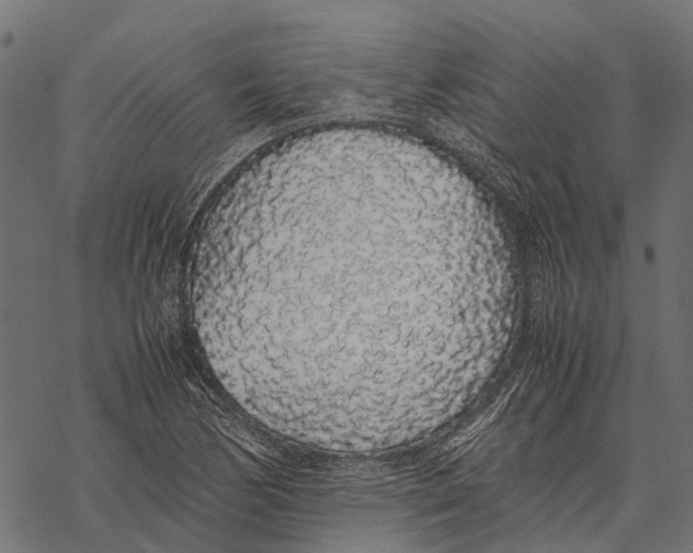 X0000067931170200605041727