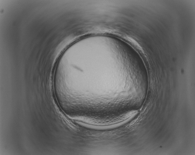 X0000067931183200605041727