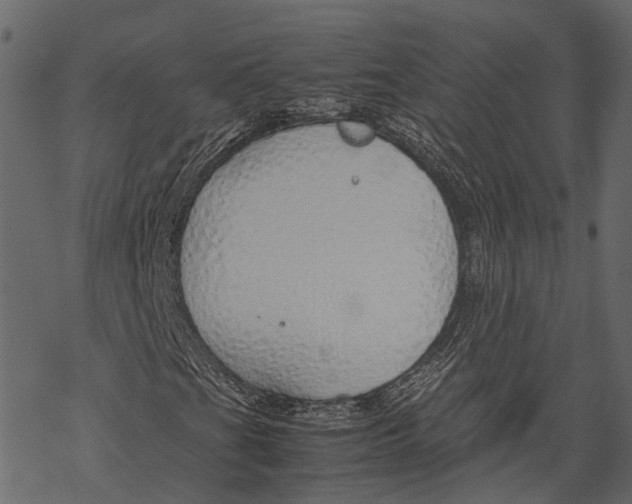 X0000067931201200605041726