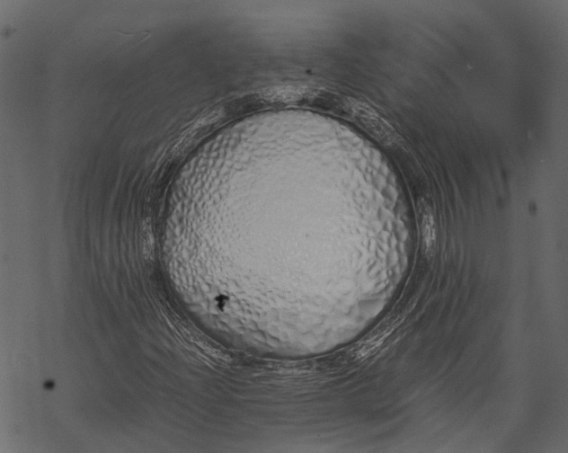 X0000067931204200605041726