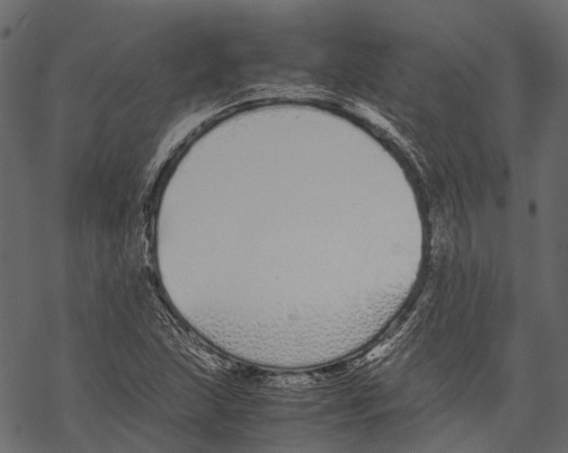 X0000067931215200605041726