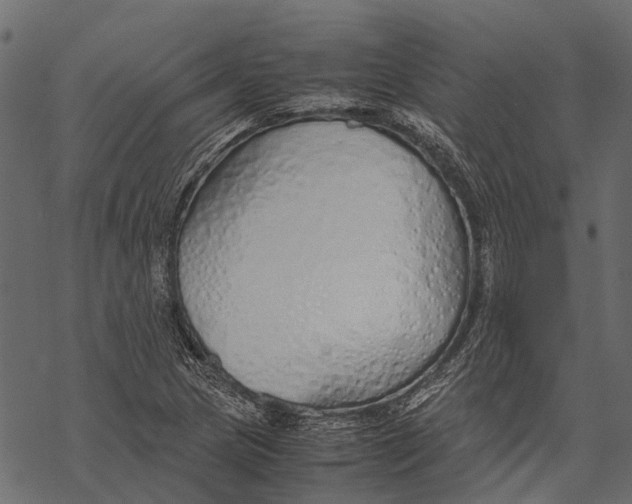 X0000067931217200605041726