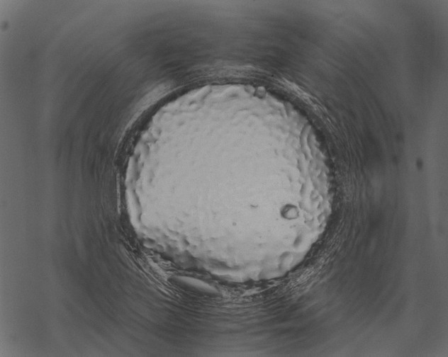 X0000067931219200605041726