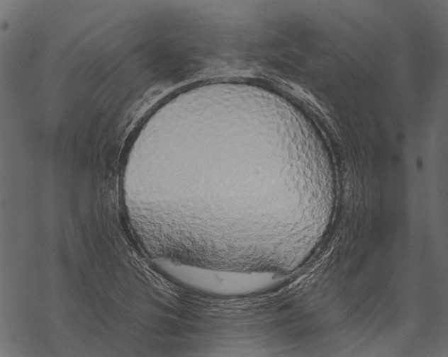 X0000067931220200605041726
