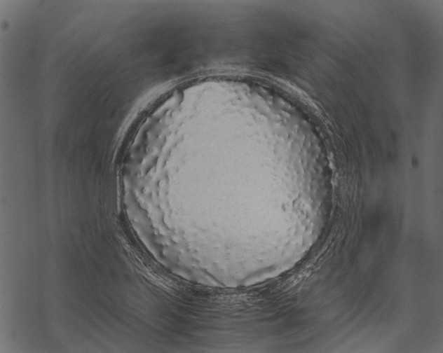 X0000067931223200605041726