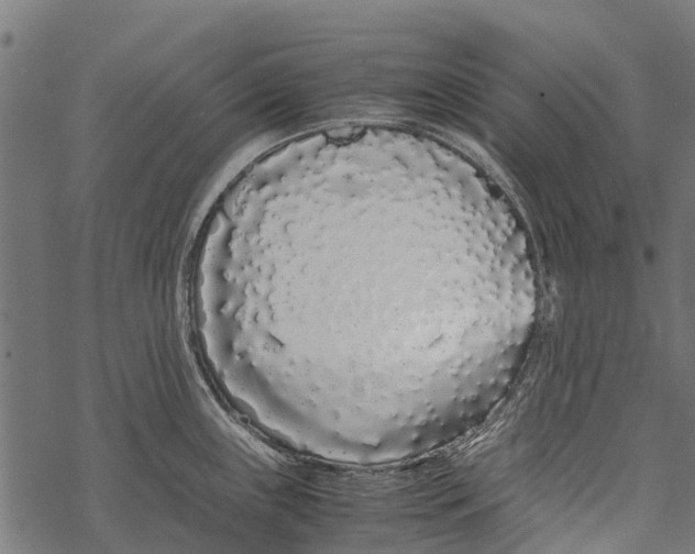 X0000067931243200605041727
