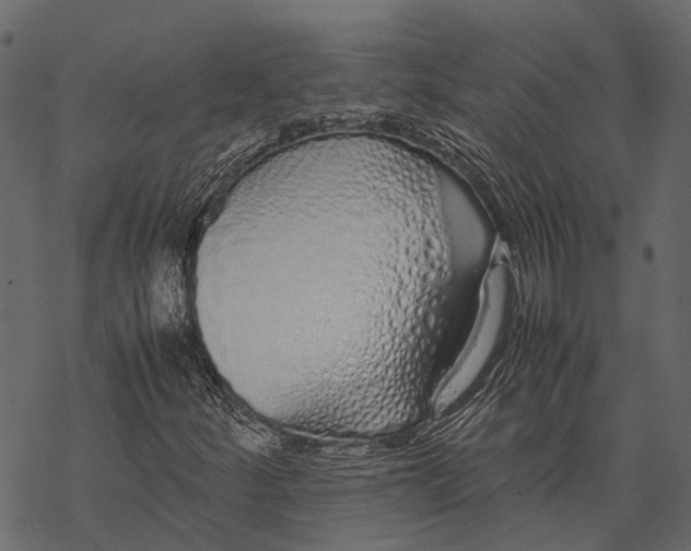 X0000067931252200605041726