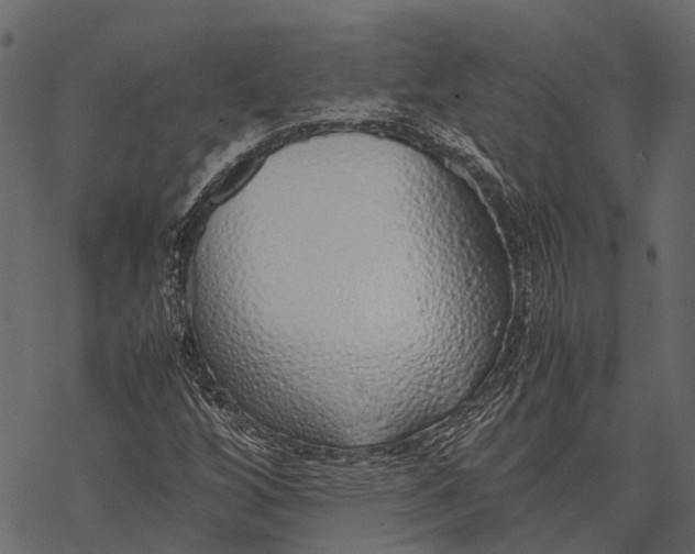 X0000067931256200605041726