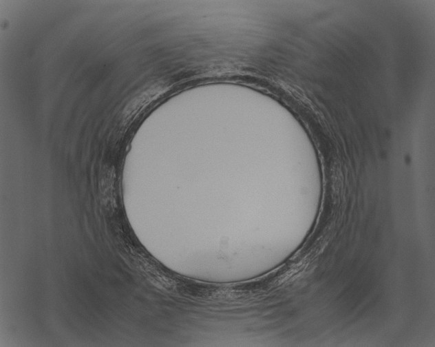 X0000067931265200605041726