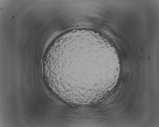 X0000067931275200605041725