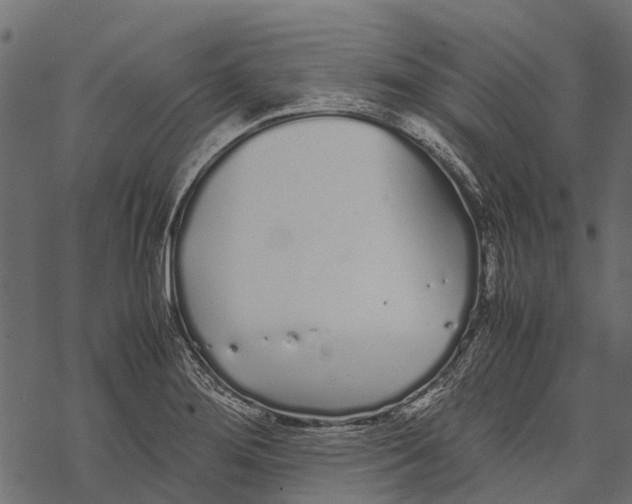 X0000067931276200605041725