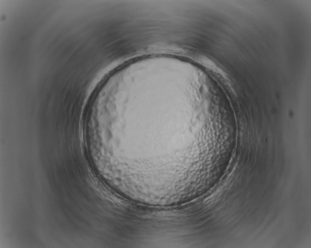 X0000067931280200605041725