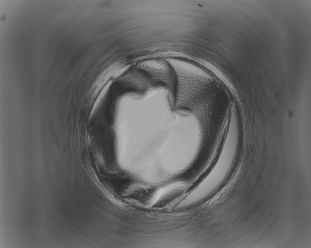 X0000067931289200605041725