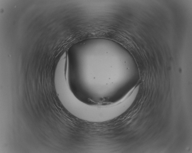 X0000067931298200605041724