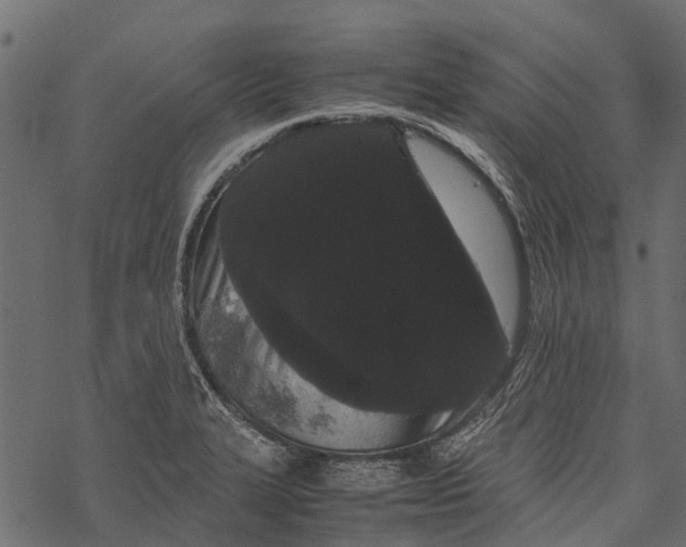 X0000067931327200605041725