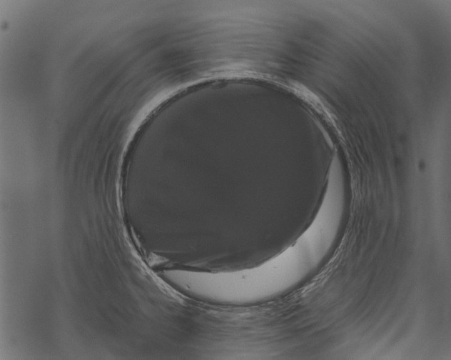X0000067931334200605041725